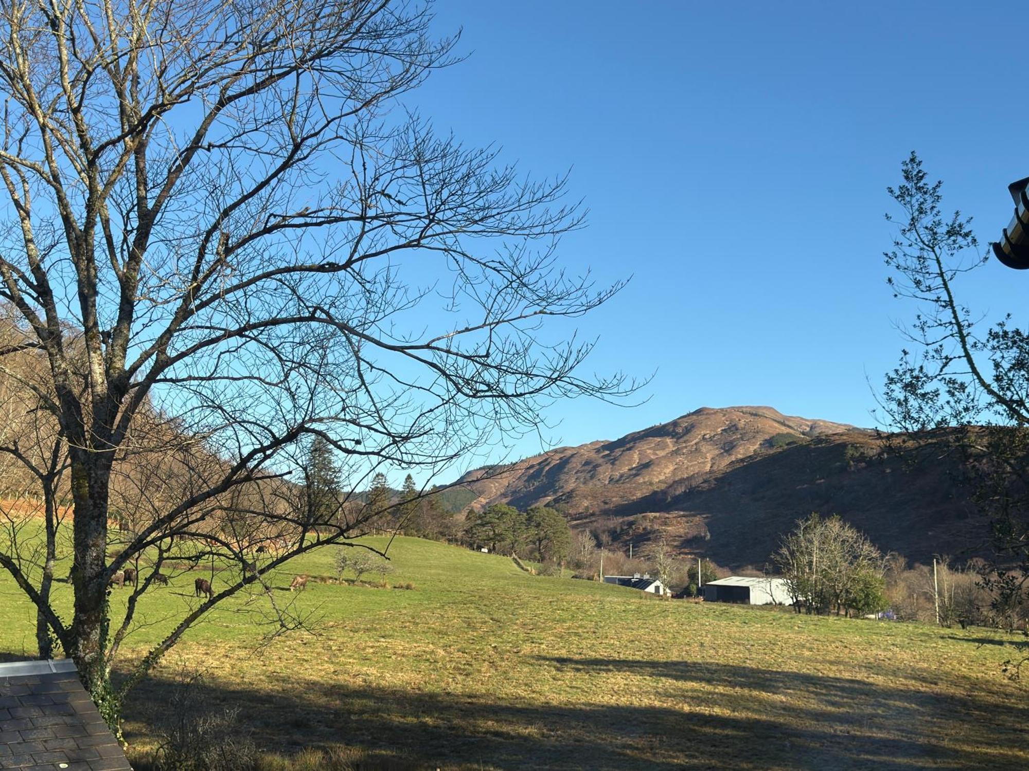 Highland Hideaway